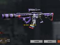 量子回响：超维共生体