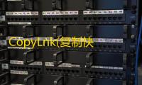 CopyLnk(复制快捷方式对应文件目录地址工具)